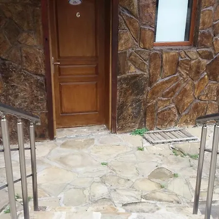 виламимоза;созополбуджака Sozopol